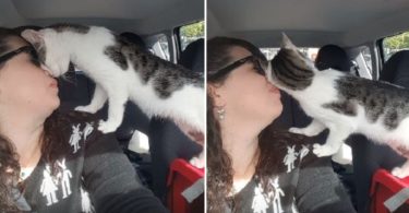 Cat Saved In Last Moment Before Death Row, Can`t Stop Saying Thank You In Unique Way