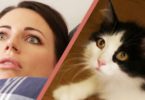 10 Sure Signs Your Kitty Owns You