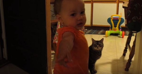 Daddy Captured The Cutest Daily Routine Between His Daughter And Cat- And It`s Too Cute For Words
