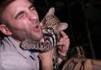 This Man Has The Cutest Interaction With Wild Kitty