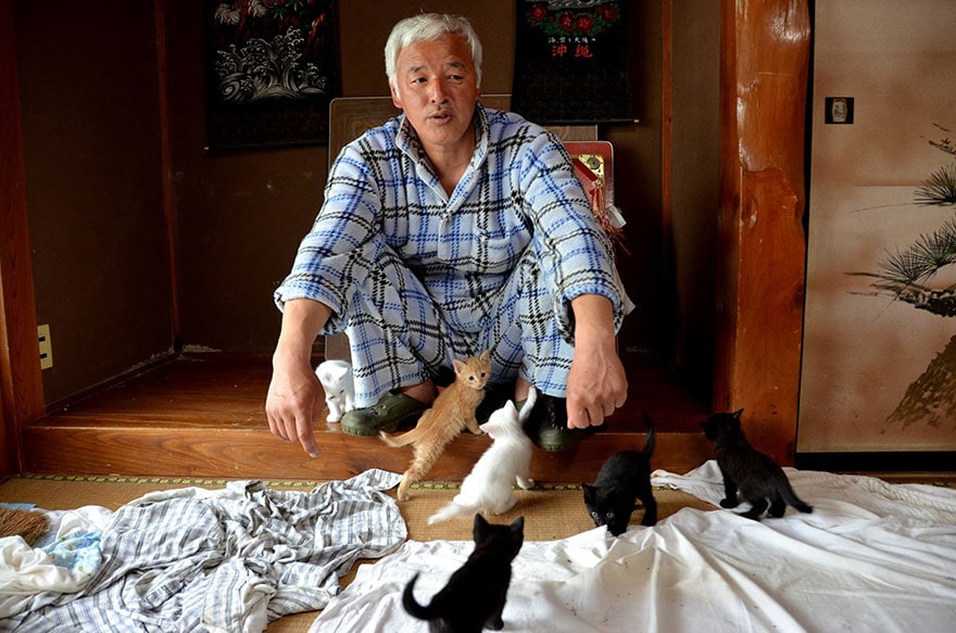 Radioactive Hero Man Returns To Fukushima To Feed The Starving Cats Forgotten By Everyone  