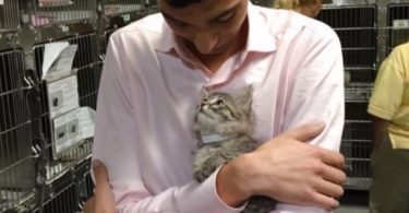 Kitty Desperately Wanted Home, So She Jumped Directly Into His Arms And Looked Him Into His Eyes