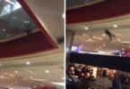 Man Uses a Box Filled With Pillows To Rescue And Catch A Cat Falling From The First Floor In The Mall