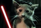 The Force Is Strong With These Cute Jedi Kittens! +23 Million Views!