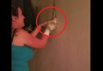 Woman Heard Mysterious Noises From The Inside Of The Wall, And Then She Broke The Wall And Was Shocked From What She Saw Inside