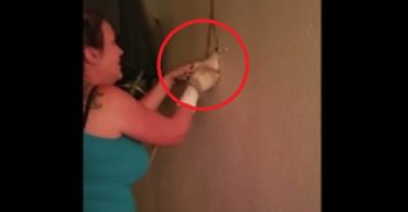 Woman Heard Mysterious Noises From The Inside Of The Wall, And Then She Broke The Wall And Was Shocked From What She Saw Inside