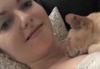 13-Year-Old Cat Is Finally Adopted, And Can`t Sleep Unless His New Mommy Holds His Paw