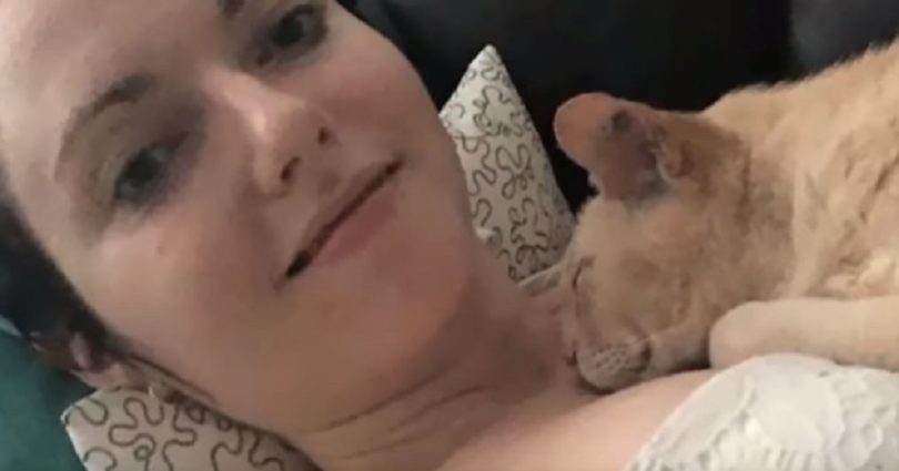 13-Year-Old Cat Is Finally Adopted, And Can`t Sleep Unless His New Mommy Holds His Paw