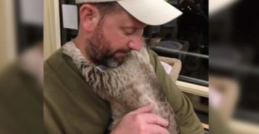 Shy Cat Waiting For Adoption, But When She Sees Her New Daddy She Wraps Her Arms Around Him