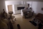 Security Camera Shows What Cat Does When She Is Alone At Home