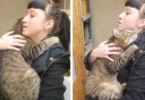 Shelter Cat That Loves To Be Held In Hands Finds Forever Home