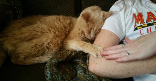 21-Year-Old Cat Waiting To Be Euthanized, Is Rescued By Kind Couple In Last Moment