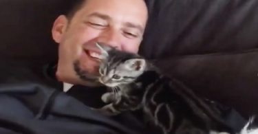 Dog Person Never Been A Big Fan Of Cats, But Then This Foster Kitten Change Everything