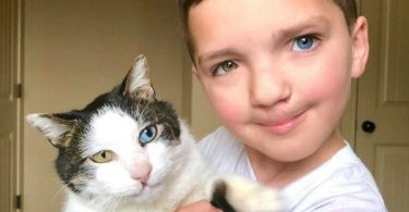 Kid Adopted a Kitty With The Same Unique Eye Condition And Cleft Lip - Copy