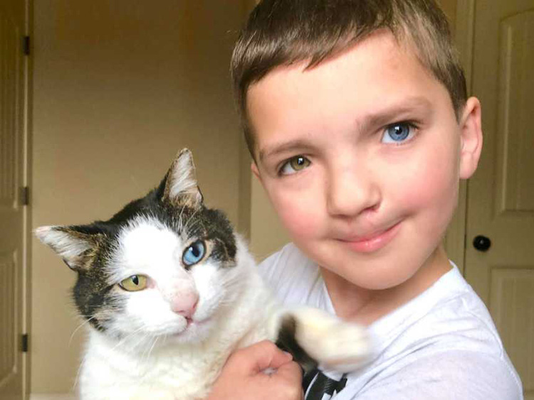 Kid Adopted a Kitty With The Same Unique Eye Condition And Cleft Lip