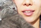 Runt Kitten Can`t Stop Cuddling With His Human Mommy, And Comforts Her When She's Not Feeling Good