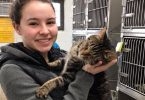 Shelter Affectionate Cat Gripped Woman`s Shirt And Won`t Let Go