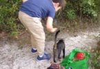 This Kid Noticed A Cat Begging For Food, But Then She Returned With Special Gift