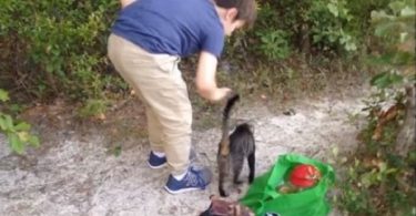 This Kid Noticed A Cat Begging For Food, But Then She Returned With Special Gift