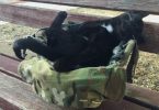Stray Kitty Fall Asleep In The Soldier Combat Helmet And Claimed Him As His Forever Daddy