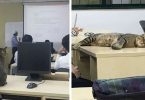 Cat Joined a Class, And Immediately Fell Asleep Because of The Boring Lecture