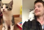Man Didn’t Want To Adopt Because He Isn't A Cat Person But The Kitty Changed His Mind