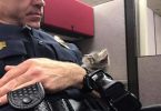 Police Officer Finds Stray Kitten Under Streetlamp And The Kitten Chooses Him As New Dad