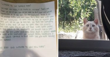 She Moved In New Home And Finds A Note From The Cat`s Ex Owners Home, And Follows Instructions