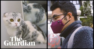 The Coronavirus Cat Rescuer of Wuhan