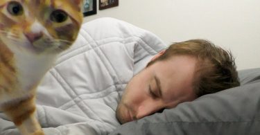 Why Do Cats Like To Sleep With Us