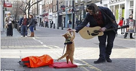 A Street Cat Named Bob To Appear On The Big Screen