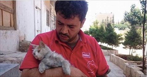 Cat Man Of Aleppo Risks His Life In A Combat Zone To Care For Over 200 Abandoned Cats