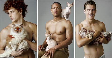 Topless Male Models Posing With Cats Will Make Your Day (Only For Ladies)