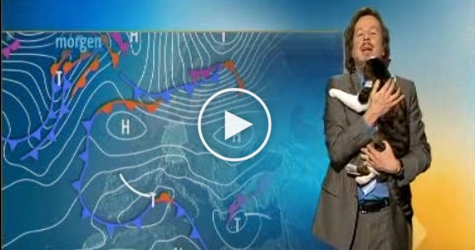 Kitty Interrupts Live Weather Broadcast Asking for Hugs