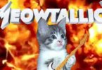 Meowtallica - Amazing Cat Remixes Of Metallica Songs