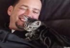 Dog Person Never Been A Big Fan Of Cats, But Then This Foster Kitten Change Everything