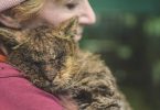 Unwanted Cat That Never Felt a Human Touch Finally Feels Love and Hugs For The First Some